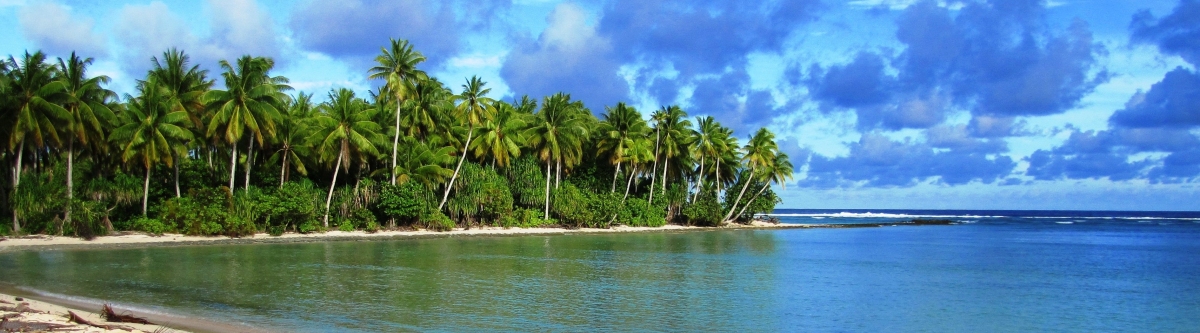 Butaritari, Kiribati (KevGuy4101)  [flickr.com]  CC BY 
Informazioni sulla licenza disponibili sotto 'Prova delle fonti di immagine'